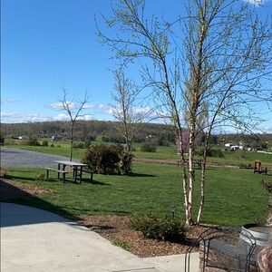 Meet your Posher, Karla